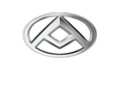 New maxus